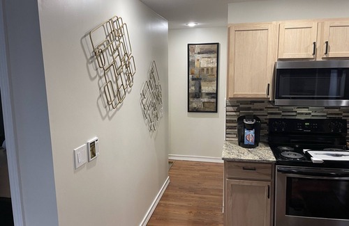 Detroit Apartamento | Beautiful Quiet Boston-Edison Historical District