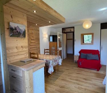 Les Carroz-d'Araches Apartamento | Beautiful renovated 40m2 mountain view apartment in Les Carroz, 3 minutes walk from city center