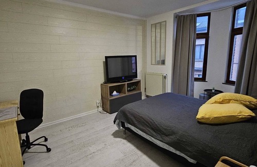 Evere Apartamento | Beautiful, Renovated Fully Self Contained Room
