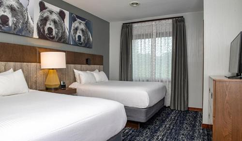 Lake Delton Casa | Beautiful Resort in Glacier Canyon 2BD Deluxe near Circus World