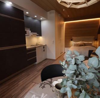 Rukatunturi Apartamento | Beautiful studio by the slopes