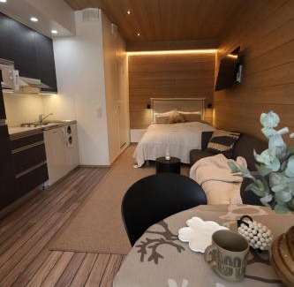 Rukatunturi Apartamento | Beautiful studio by the slopes