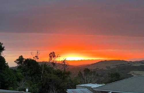 Port Elizabeth Casa | Beautiful suite Game Park view