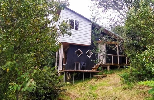 Ancud Cabina | Hermosa tiny house, en medio del bosque.