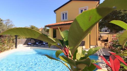 Mugeba Villa | Beautiful villa Mugeba II with pool near the aquapark in Porec