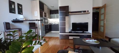 Medijana Apartamento | Beautifull Apartment