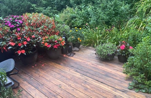 Delhi Casa | Beautifully landscaped 3-bedroom/2 bath house in the scenic Village of Delhi, NY