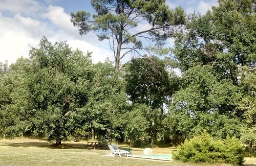 Pinderes Otro | Old farmhouse in the forest