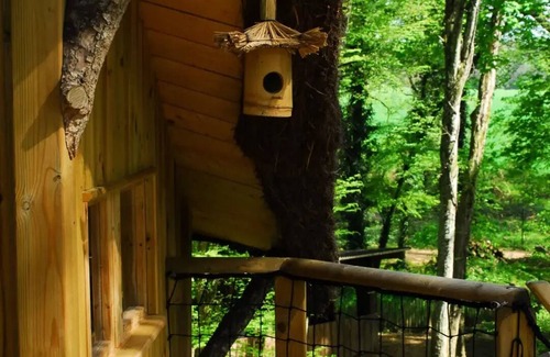 Salles-en-Toulon Casa | Beauty Park - Ouistitis family cabins 6 people