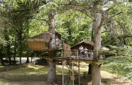 Salles-en-Toulon Casa | Beauty Park - Ouistitis family cabins 6 people