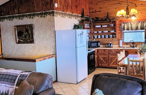 Sylvan Shores Cabina | Beaver Lake View Cabin with Lake Access, Boat Dock, Boat Slips, Incredible View