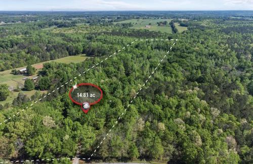 Farmington Casa | Beaverdam Bliss Cabin on 14 acres
