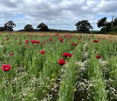 Sutton Maddock Casa | Beckbury Guesthouse