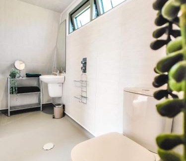 Navan Otro | Bective Mill Glamping & Camping