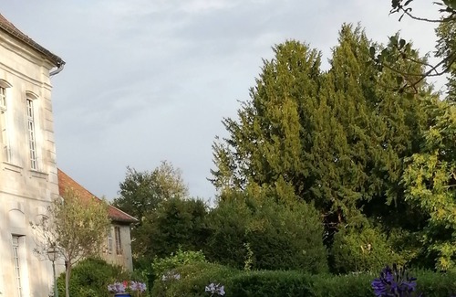 Piney Casa | Cama y desayuno en el castillo de Brantigny, MESGRIGNY