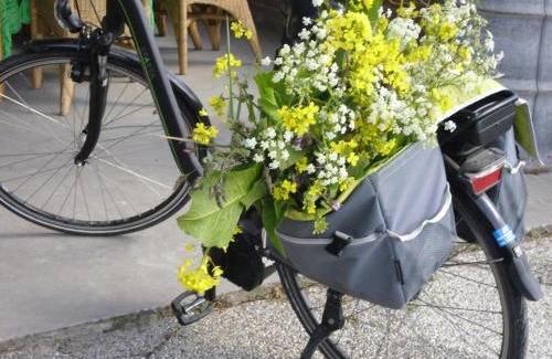 Papekop Cama Y Desayuno | Bed and breakfast Hoeve Spoorzicht