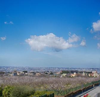 Pollena Trocchia Cama Y Desayuno | Bed and Breakfast Sommavesuvio