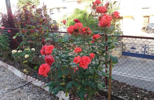 Fumel Apartamento | BED AND BREAKFAST LES ROSES MULTICOLORES DU 47