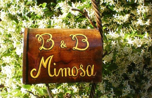 Cascina Cama Y Desayuno | Bed and Breakfast Mimosa