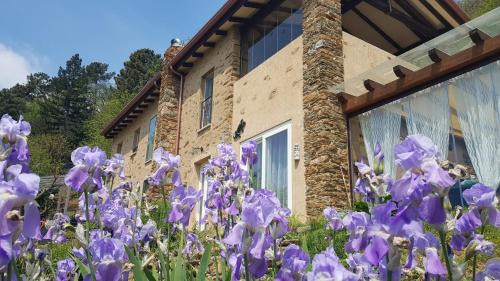Seravezza Cama Y Desayuno | Bed and Breakfast Tenuta delle Stelle