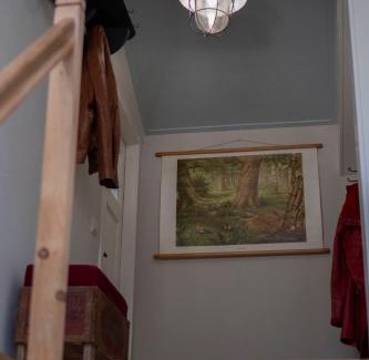 Rolde Apartamento | Bed, Boom en Droom