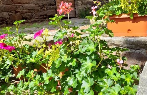 Perloz Cama Y Desayuno | Bed & Breakfast La Crotta