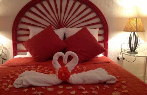 Carcassonne Cama Y Desayuno | Bed & Breakfast Le Beauséjour