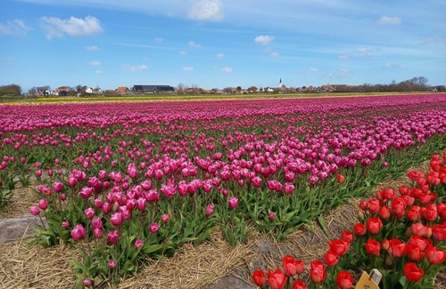 Den Hoorn Cama Y Desayuno | Bed en Breakfast kamers en meer Het Spookhuis