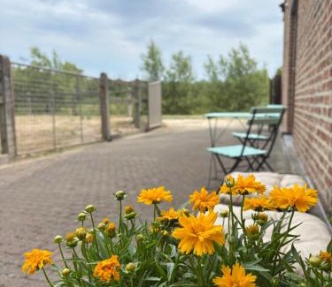 Ramsel Casa | Bed en Natuur Puur