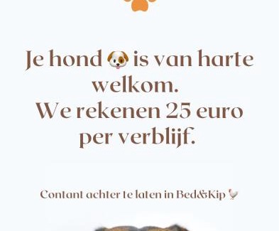 Nisse Cama Y Desayuno | Bed & Kip De plek voor mens en hond