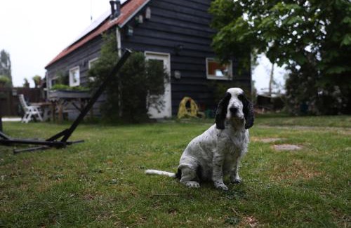 Nisse Cama Y Desayuno | Bed & Kip De plek voor mens en hond