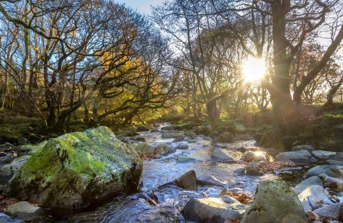 Beddgelert Complejo | Beddgelert Cabins, Snowdonia - Forest Holidays
