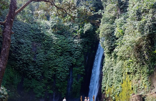 Candikuning Alquiler De RV | Bedugul Camping