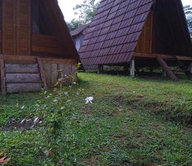 Wanagiri Otro | Bedugul puncak& giri camp