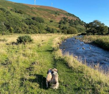 Tredegar Casa | Bedwellty Lodge near BikePark Wales