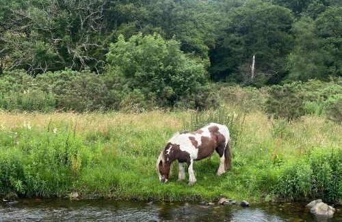 Tredegar Casa | Bedwellty Lodge near BikePark Wales