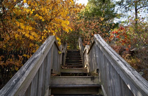 Rising Fawn Cabina | Bee Balm: Unplug Cabins on Cloudland Canyon
