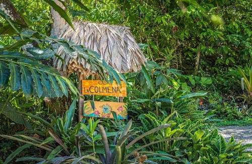 Cahuita Apartamento | Bee Happy Studio