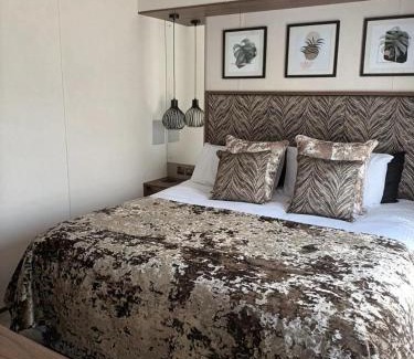 Camber Casa | Beechwood 20