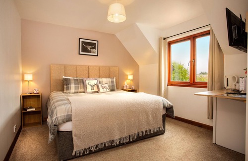 Alness Casa | Beechwood Lodge Guest House: 5-Bedroom Nature Retreat
