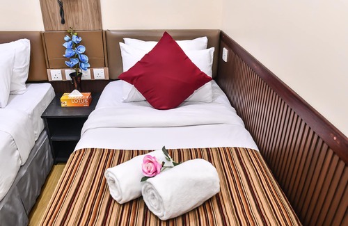 Male Hotel | Beehive Central