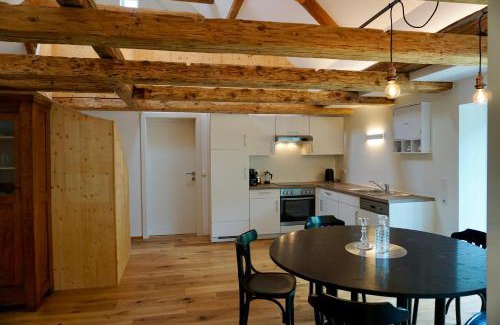 Goetzis Apartamento | Beeindruckende Wohnung im Rheintal