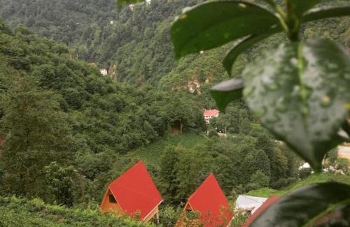 Ayder Apartamento | Begi Apart Bungalows Hotel - Çamlıhemşin