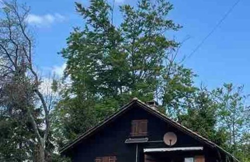 Netstal Apartamento | Behagliches Chalet mit Kaminofen umgeben von Natur