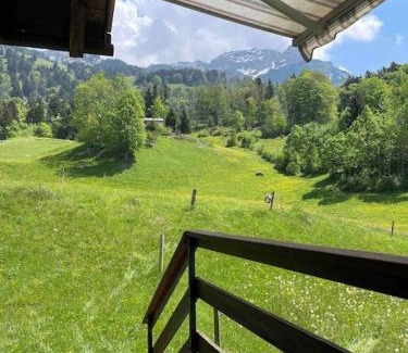 Netstal Apartamento | Behagliches Chalet mit Kaminofen umgeben von Natur