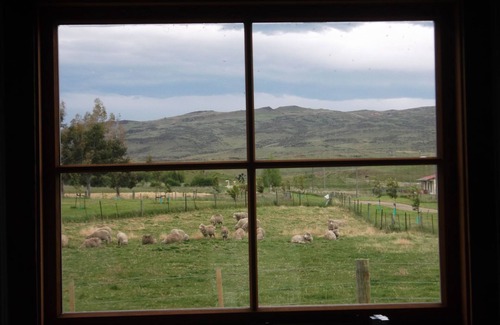 Waipiata Cama Y Desayuno | Behind the Bike sheds
