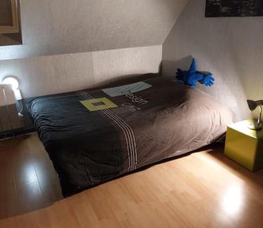 Vendenheim Casa | bel appartement 50 m2 aux portes de STRASBOURG de 1 à 5 personnes chez particuliers avec 2 sdb coin cuisine-repas et kitchinette Prix négociable pour 1 personne