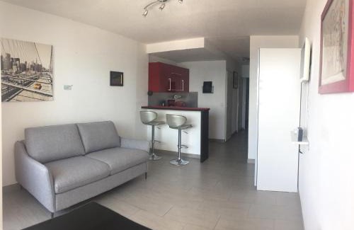 Palavas-les-Flots Apartamento | Bel appartement F1 cabine 30m² face mer parking