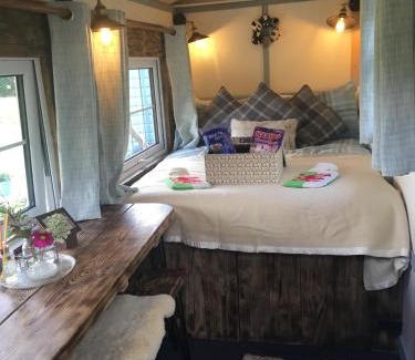Llanidloes Cabina | Belan Bluebell Woods Shepherds Hut