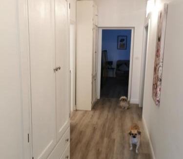 Bovec Apartamento | Belavita